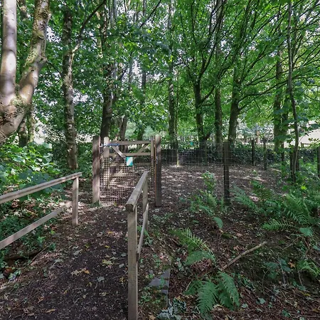 Abbots Reading Tatil Evi