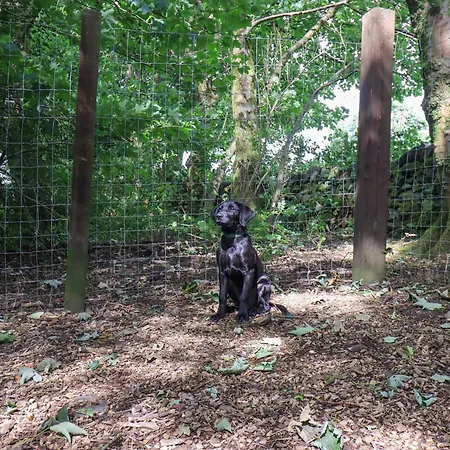 Abbots Reading Σπίτι διακοπών