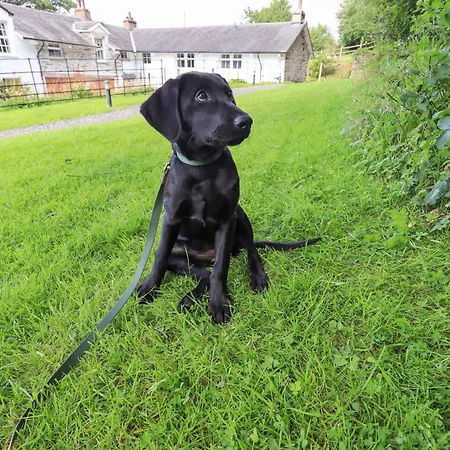 Abbots Reading Σπίτι διακοπών *